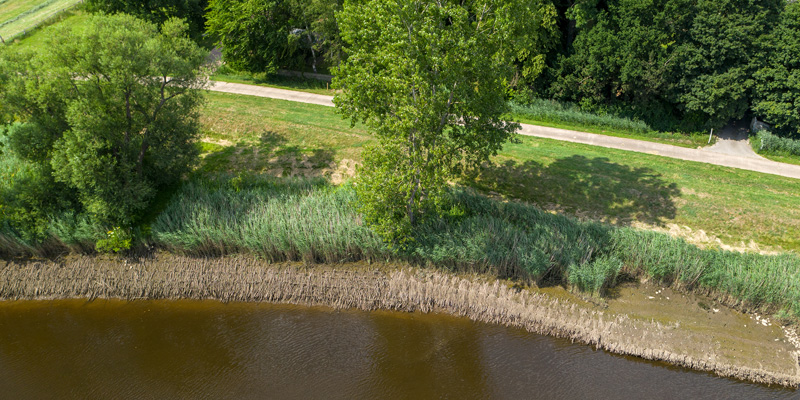 Foto zeigt eine Versuchsstrecke für alternative Ufersicherungen in Wümme. Link führt zum Portal über alternative Ufersicherungen.